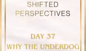 shift day 37