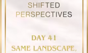 shift day 41